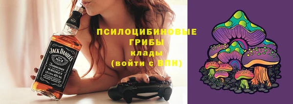 прущие крисы Елизово