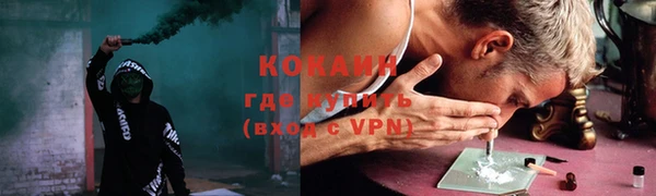 прущие крисы Елизово