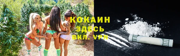 прущие крисы Елизово