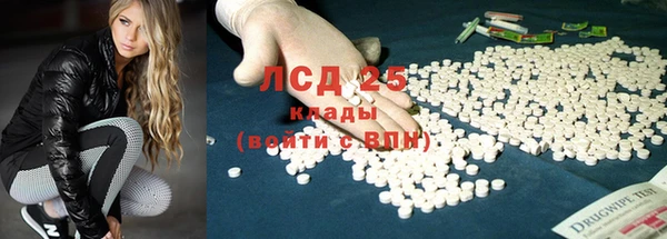 прущие крисы Елизово