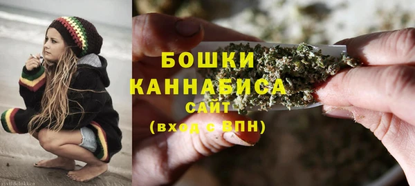прущие крисы Елизово